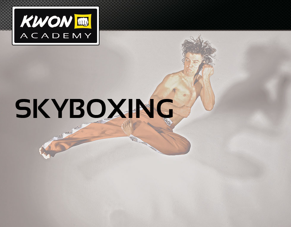 banner-kwon-academy-skyboxing