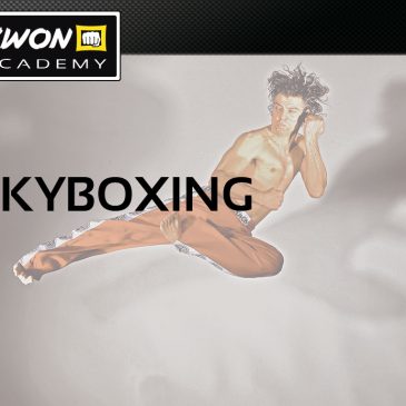Skyboxing